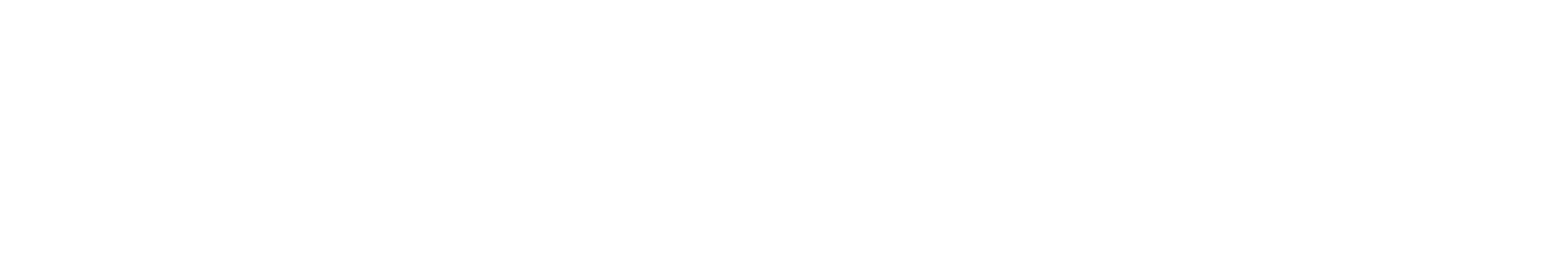 Storck Consulting